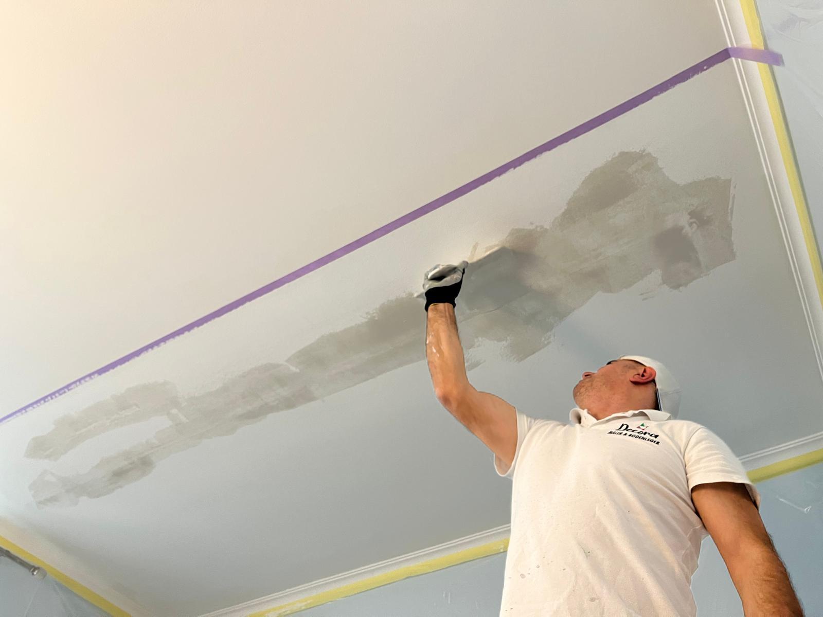 Project 48 – Decora Painting